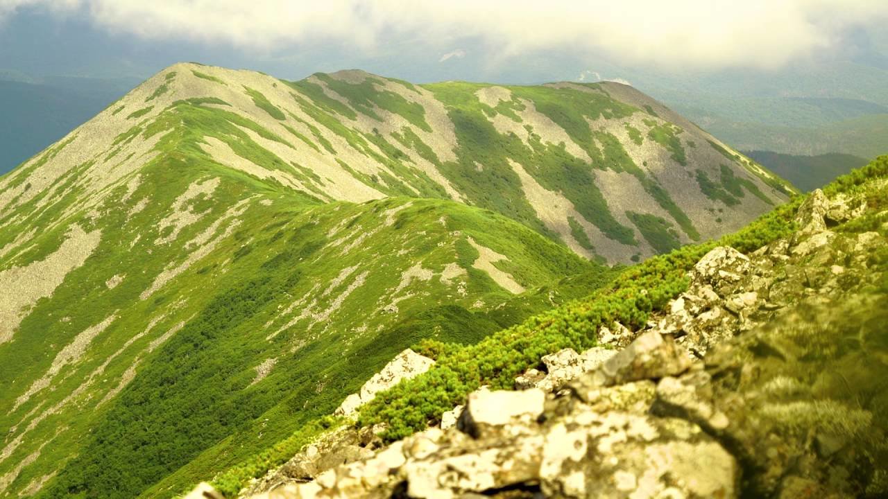 Сихотэ алинь наивысшая. Гора аник Приморский край. Гора облачная Приморский край. Приморский край горы Сихотэ Алинь. Сихотэ Алинь гора облачная.